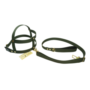 Guia Cinto de Segurança com Peitoral