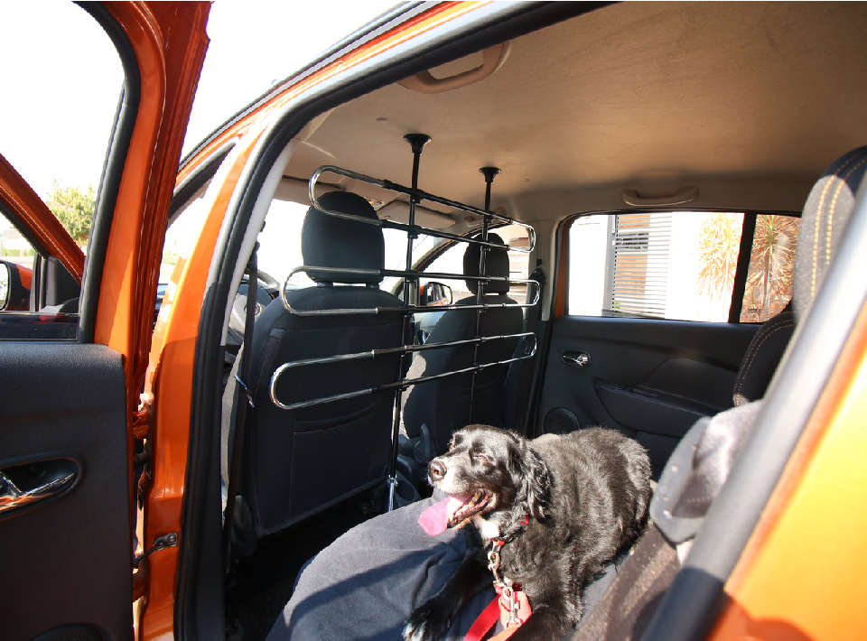 Cachorro-Grade-Protecao_novo